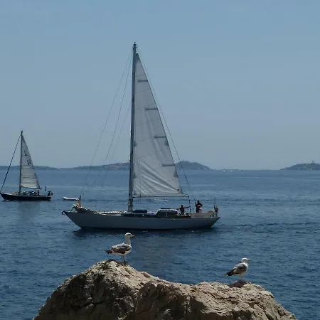 Lägenhet Carre D'or Rue D'antibes A Quelques Pas Du Palais Des Festivals *