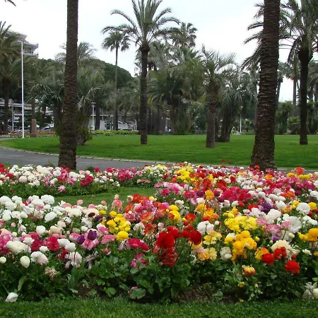 Апартаменты Carre D'or Rue D'antibes A Quelques Pas Du Palais Des Festivals *
