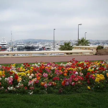 Carre D'or Rue D'antibes A Quelques Pas Du Palais Des Festivals Apartment *